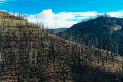 Incendies de l’été : la facture des assureurs et ce qu’elle dit du risque industriel