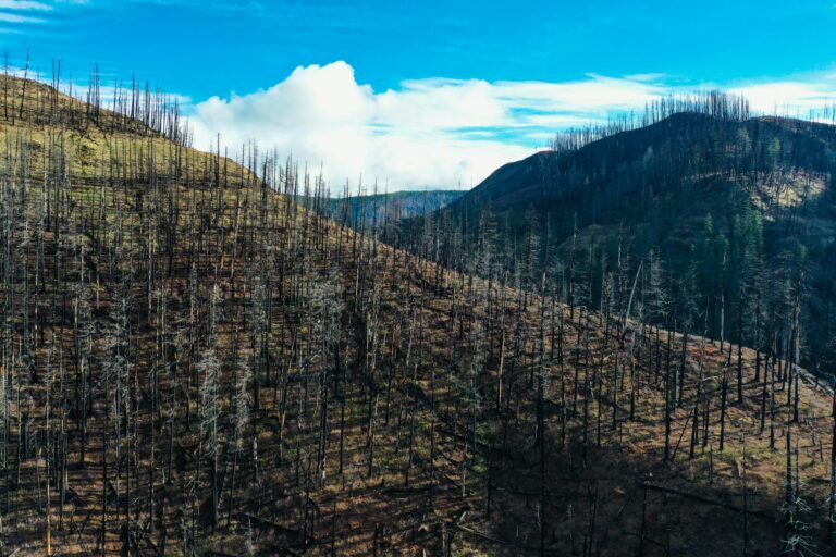 Incendies de l&rsquo;été : la facture des assureurs et ce qu&rsquo;elle dit du risque industriel