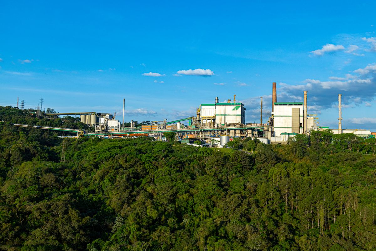 Fibre Excellence Saint-Gaudens : le diagnostic d'une dernière usine de pâte à papier au bord de la liquidation